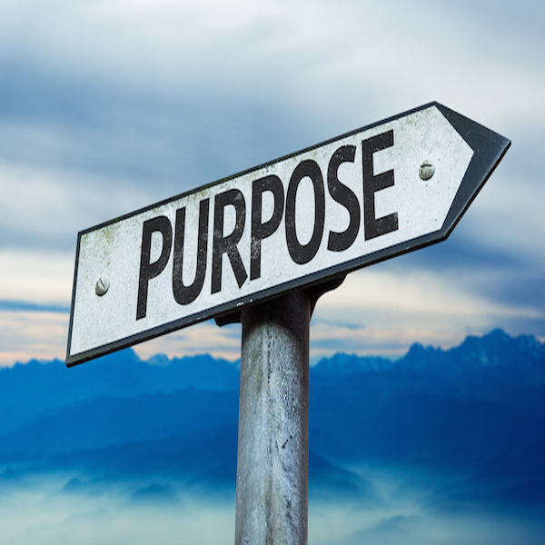 purpose