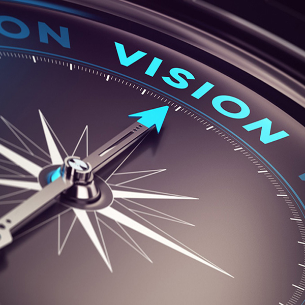 vision